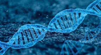 La conception et les gènes de votre bébé