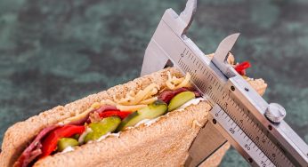 Protéines animales vs protéine végétale : quelle est la meilleure pour la construction musculaire ?