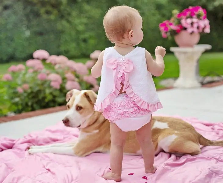 Le bébé avec un animal de compagnie
