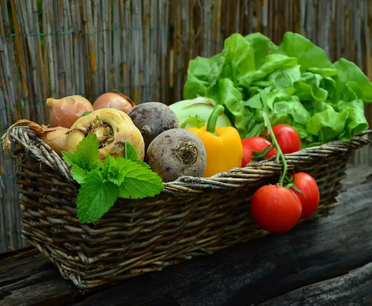 Les aliments pendant la grossesse