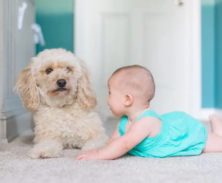 La toilette et le change de bébé